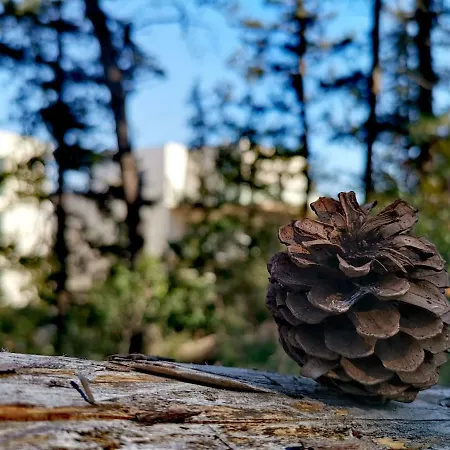 Luxury Marjan - Black Apartamento *