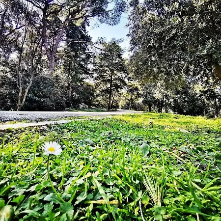 Apartamento Luxury Marjan - Black *