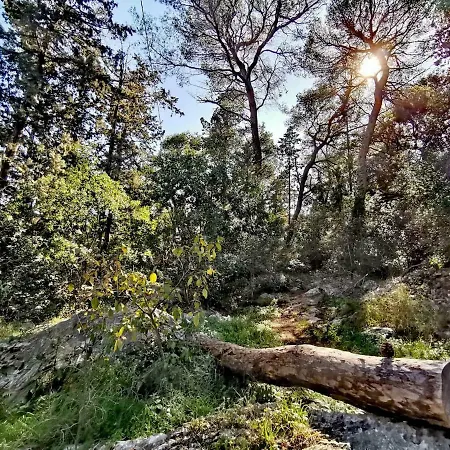 アパート Luxury Marjan - Black *