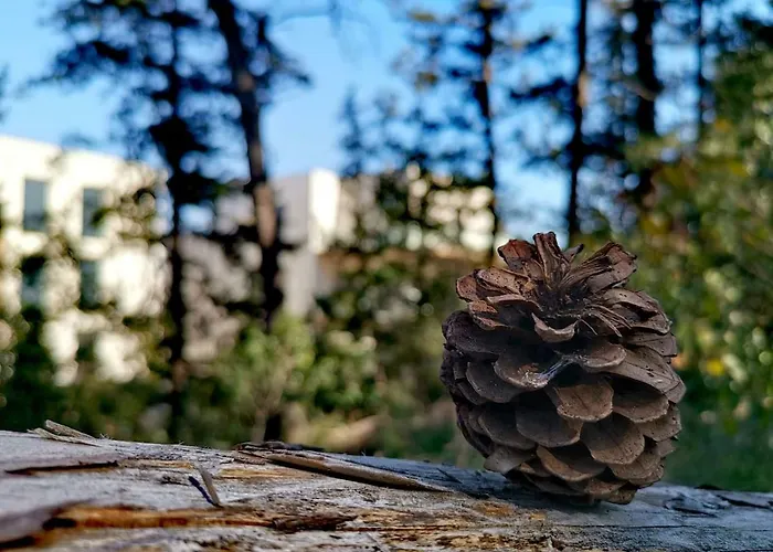 Luxury Marjan - Black Апартаменти *